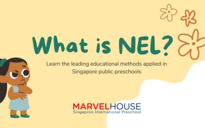 What is NEL?